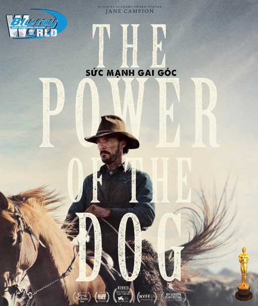 B5290. The Power of the Dog 2022 - Sức Mạnh Gai Góc 2D25G (DTS-HD MA 7.1) OSCAR 94